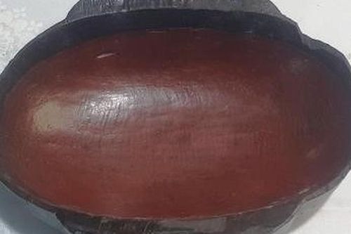 Văn hóa Đông Sơn - Chiến tranh và Hòa bình (kỳ 36): Những công cụ lạ kỳ trong mộ thân cây Đông Sơn