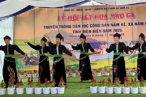 Rộn ràng Lễ hội Tết hoa mào gà của dân tộc Cống ở Nậm Kè