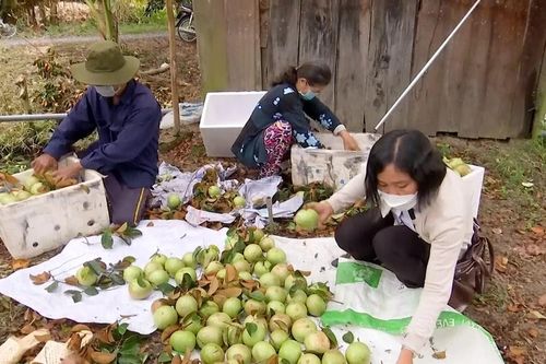 Thành phố Cần Thơ nâng cao chất lượng xây dựng nông thôn mới