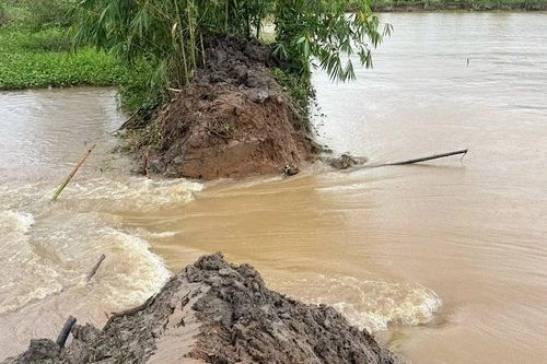 Vỡ đê bao cồn Sơn gây thiệt hại cho nhiều hộ dân