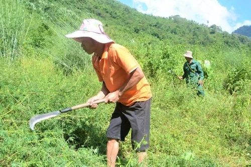 Tăng cường kiểm tra, giám sát việc thực hiện chi trả, sử dụng tiền dịch vụ môi trường rừng