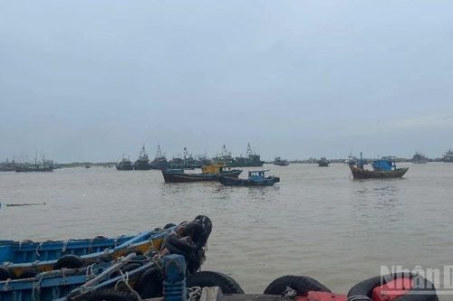 Lâm Đồng: Hơn 4.300 tàu cá đã vào tránh bão an toàn