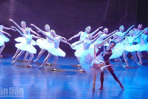 Vở ballet Hồ Thiên Nga tái ngộ với khán giả sau chưa đầy 1 tháng ra mắt