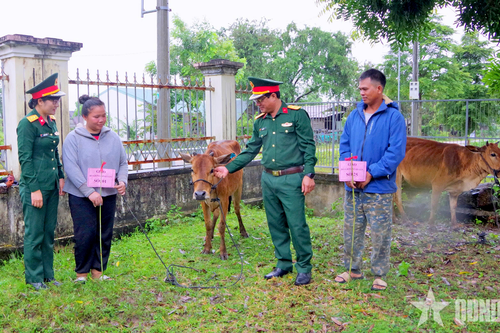Đoàn Kinh tế - Quốc phòng 710 (Binh đoàn 15) trao bò giống tặng 34 hộ nghèo, cận nghèo