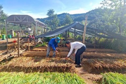 Người dân xã Tu Mơ Rông chung tay xây dựng vườn ươm cà-phê giống miễn phí