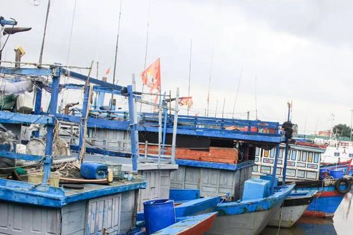 Triều cường vượt mức lịch sử kèm mưa lớn, TPHCM có kế hoạch ứng phó