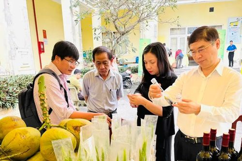 Quản lý sức khỏe cây dừa hướng đến phát triển bền vững