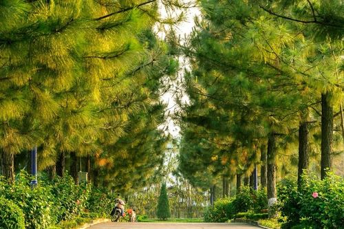Du lịch Đan Phượng, ăn chơi gì giữa vùng đất cổ xứ Đoài?