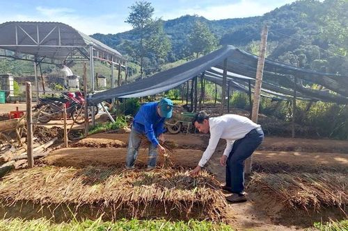 Vườn ươm thoát nghèo của đồng bào Xơ Đăng