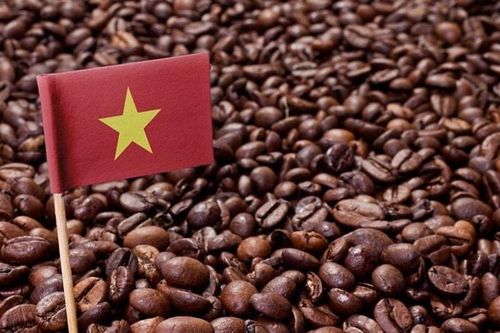 Ngành cà phê Việt Nam đứng trước bước ngoặt lịch sử để vươn lên dẫn đầu thế giới