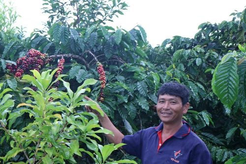 Người đánh thức 'hương vị' từ đất Tà Nung