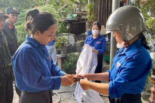 Thanh niên giúp người dân gia cố nhà cửa, bảo vệ tài sản trước bão