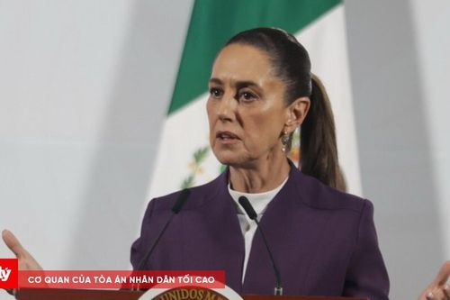 Bắt người đàn ông quấy rối Tổng thống Mexico