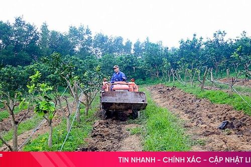 Trường Lưu đồng lòng vào cuộc giảm nghèo bền vững