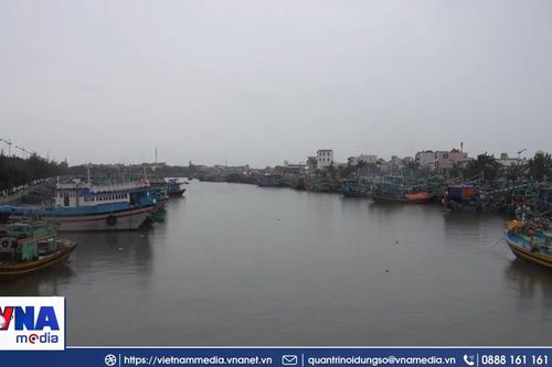 Ven biển Lâm Đồng chủ động ứng phó trước bão số 13