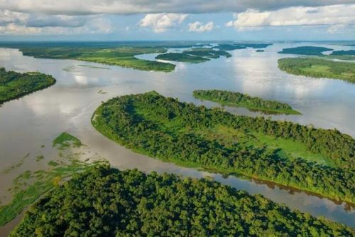 Cộng hòa Congo đàm phán hoán đổi nợ để bảo vệ môi trường