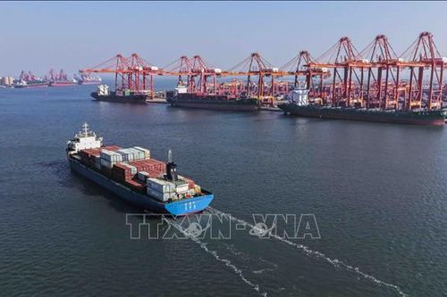 Trung Quốc mua lô hàng lúa mì đầu tiên từ Mỹ kể từ năm 2024