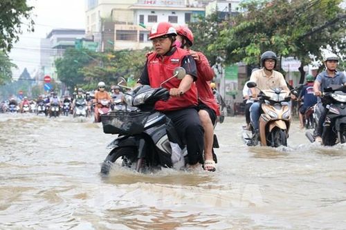 Hình ảnh triều cường ở Cần Thơ lập đỉnh mới, người dân 'bì bõm' trên đường