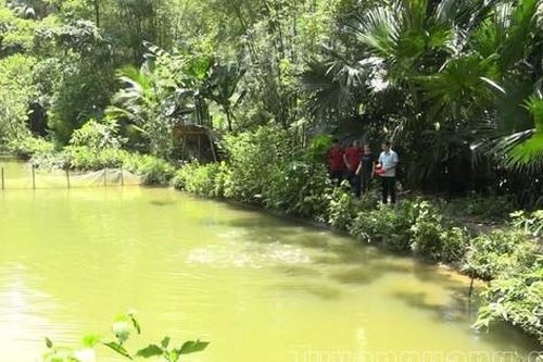 Xã Đồng Tâm (Tuyên Quang): Phát triển kinh tế từ nuôi cá Bỗng