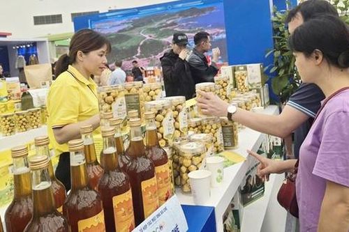 'Nhạc trưởng' đưa sản phẩm khu vực miền núi, vùng sâu, vùng xa và hải đảo tỏa sáng