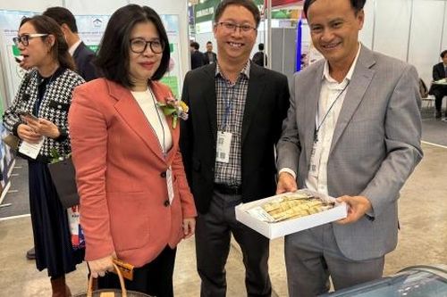 Cà Mau tìm đầu ra cho sản phẩm chủ lực tại thị trường Hàn Quốc