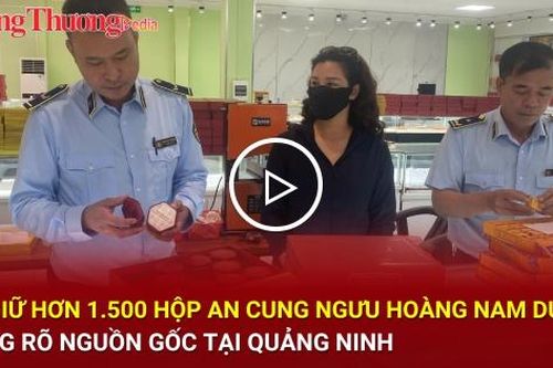 Quảng Ninh: Thu giữ hơn 1.500 hộp An Cung ngưu Hoàng Nam Dương không rõ nguồn gốc