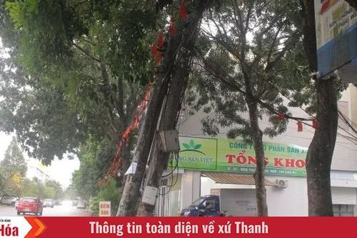Bất cập trên tuyến đường Lê Trang Tông, phường Hạc Thành