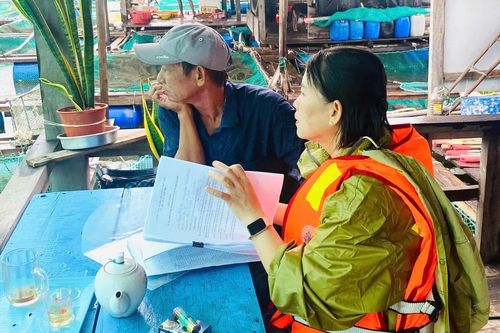 Ninh Chử vận động chủ bè chủ động ứng phó với bão số 13