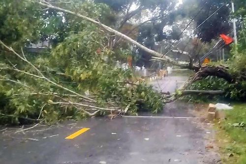 Tạm cấm Tỉnh lộ 9, di dời hơn 600 hộ dân vùng xung yếu đến nơi an toàn