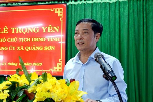 Một số giải pháp 'siết' quản lý rừng ở Quảng Sơn