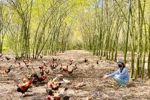 Thay đổi tư duy 'làm cái có' sang 'làm cái thị trường cần'