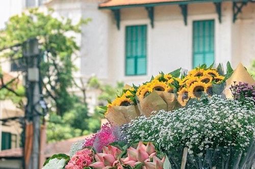 Hà Nội tháng 11: Trải nghiệm mùa thu lãng mạn nhất năm