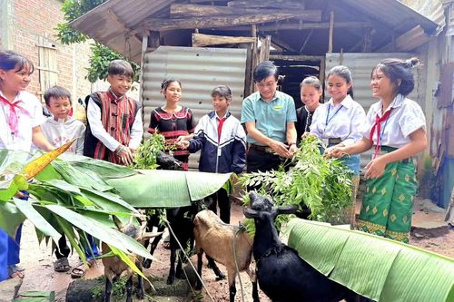 Mô hình chăn nuôi hiệu quả