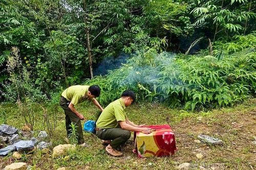 Thả hơn 20 cá thể chim hoang dã về tự nhiên tại xã Du Già
