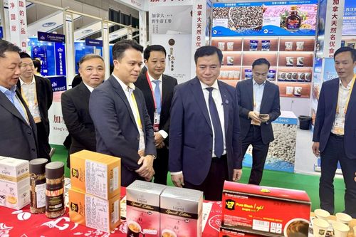 Đa dạng kênh xuất khẩu hàng Việt bền vững sang thị trường Trung Quốc