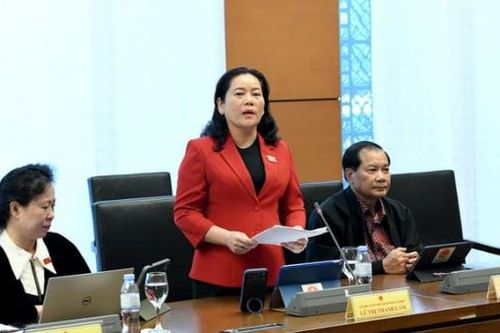Đại biểu đề nghị phân biệt kinh doanh và tích trữ vàng khi đánh thuế chuyển nhượng