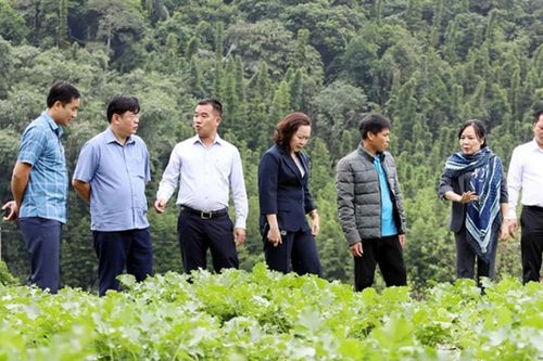 Tạo động lực phát triển bền vững khu vực miền núi