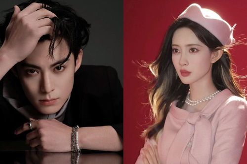 Mạnh Tử Nghĩa, Vương Hạc Đệ đóng chính bộ phim bị cả showbiz Hoa ngữ xa lánh?