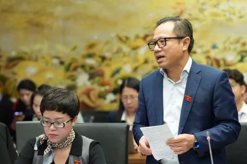 Đại biểu Quốc hội băn khoăn về năng lực lập quy hoạch của cấp xã