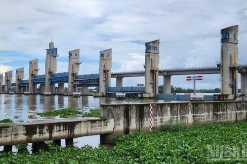 Vận hành cụm cống Cái Lớn, Cái Bé ứng phó bão số 13