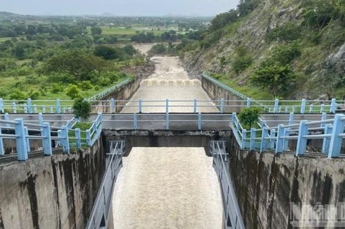 Lâm Đồng: Gần 150 hồ hư hỏng, xuống cấp