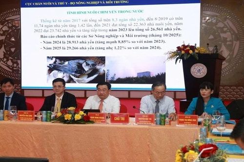 Bảo vệ và phát triển bền vững quần thể chim yến