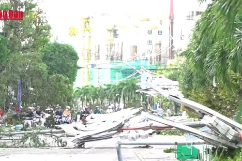 Hơn 1,6 triệu hộ dân mất điện do bão Kalmaegi