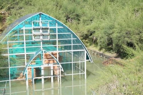 Làm rõ trách nhiệm và khắc phục tình trạng ngập kéo dài tại tháp Chăm Phú Diên