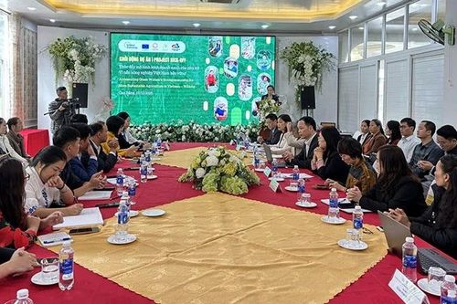 Thúc đẩy kinh doanh xanh cho phụ nữ trong nông nghiệp ở 2 tỉnh miền núi phía bắc