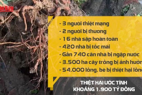 Đắk Lắk: 3 người thiệt mạng do bão số 13