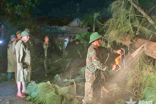 Lực lượng vũ trang tỉnh Gia Lai: Cắt tỉa, dọn dẹp cây gãy đổ, thông Quốc lộ 1A ngay trong đêm