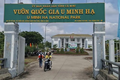 Cà Mau: Vườn Quốc gia U Minh Hạ phát hành 2.600 vé câu cá không đúng quy định