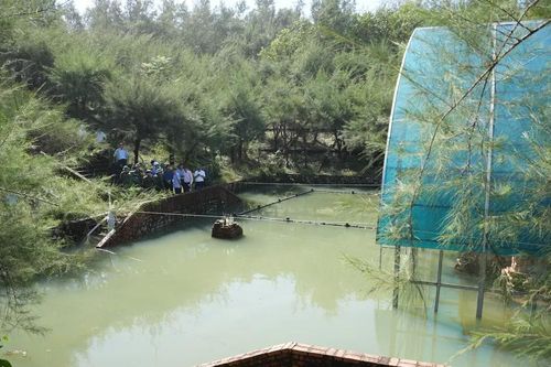 Phê bình đơn vị quản lý để di tích tháp Chăm Phú Diên ngập nước kéo dài