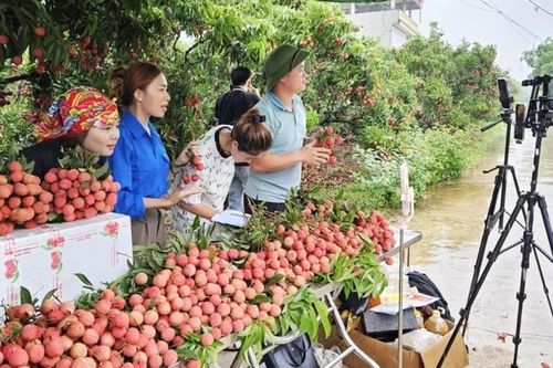 Tiếp lửa cho hàng trăm nghìn hộ dân nông thôn gia nhập nền kinh tế số